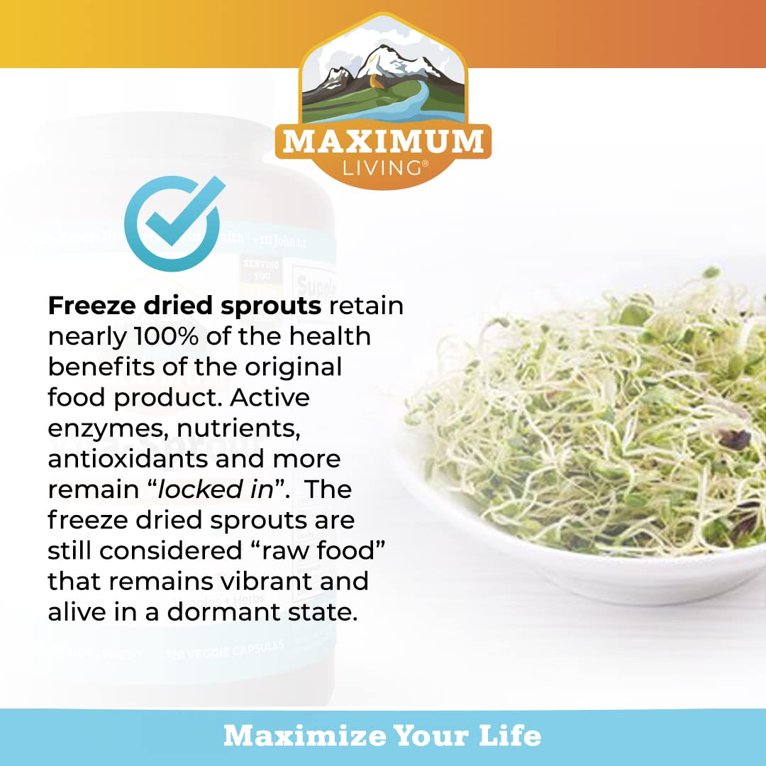 Maximum Living Vita-Sprout bottle with DGL licorice root, suggesting antioxidant-rich formula.