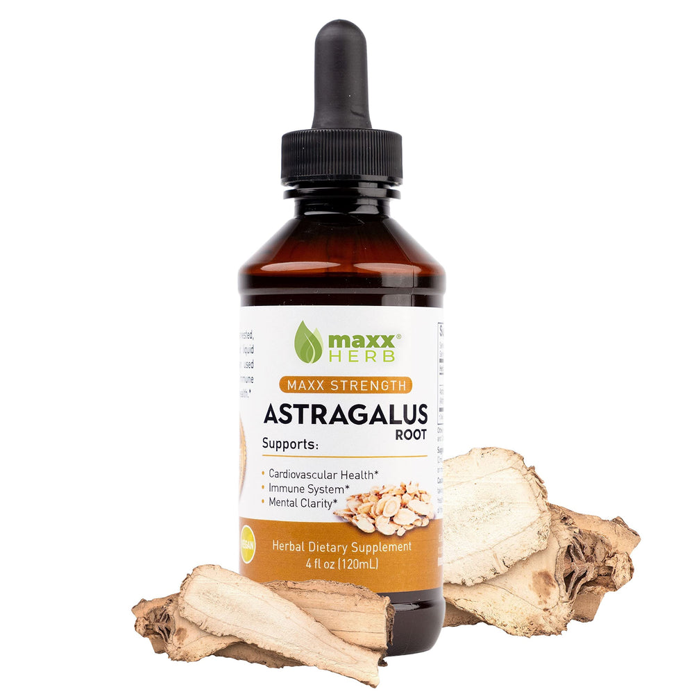 Maxx Herb Astragalus root extract bottle showing concentrated liquid form for potential immune support