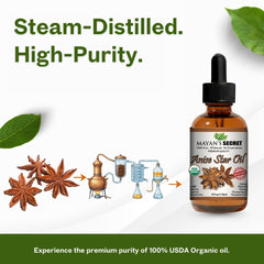 Mayan's Secret star anise cake with vanilla imagery highlights versatile flavoring uses.