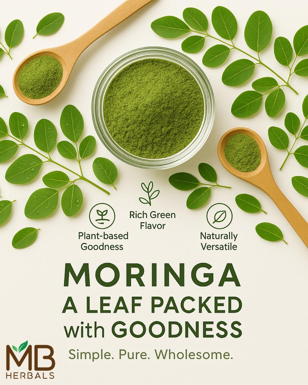 MB Herbals Moringa leaves harvest closeup from trusted growers