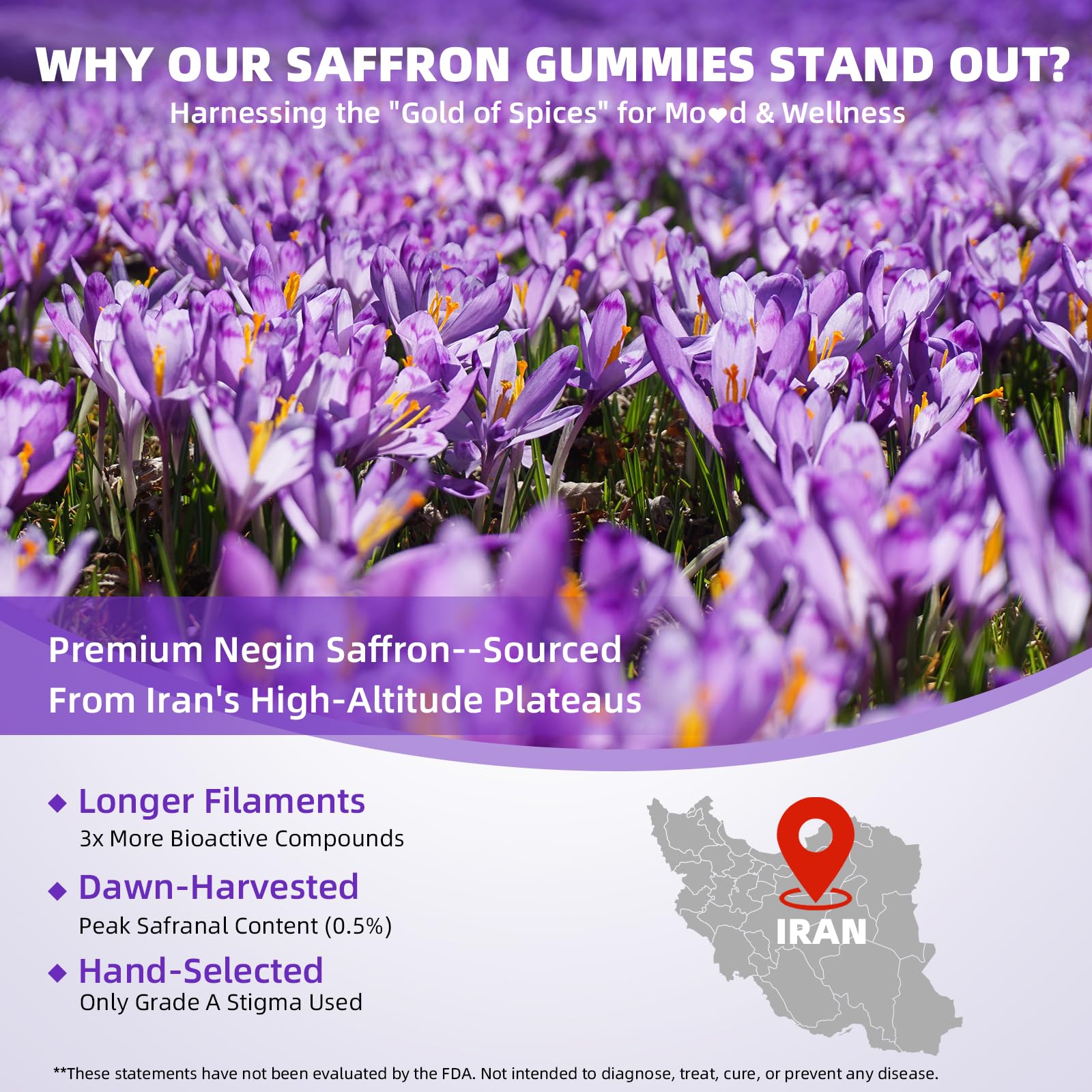 Mchokuu saffron gummies bottle with label, convenient daily ritual