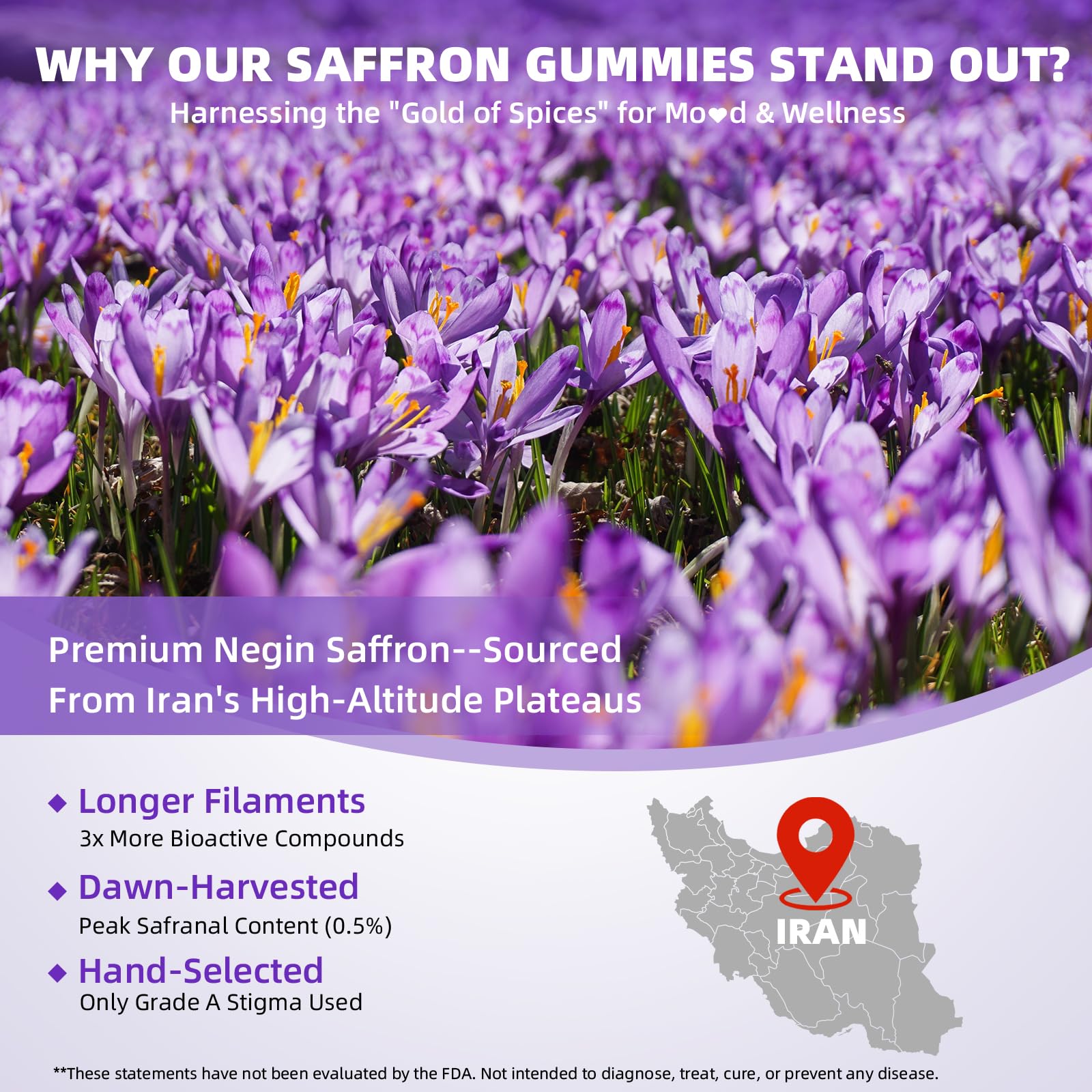 Mchokuu saffron gummies daily dosage of two gummies per serving