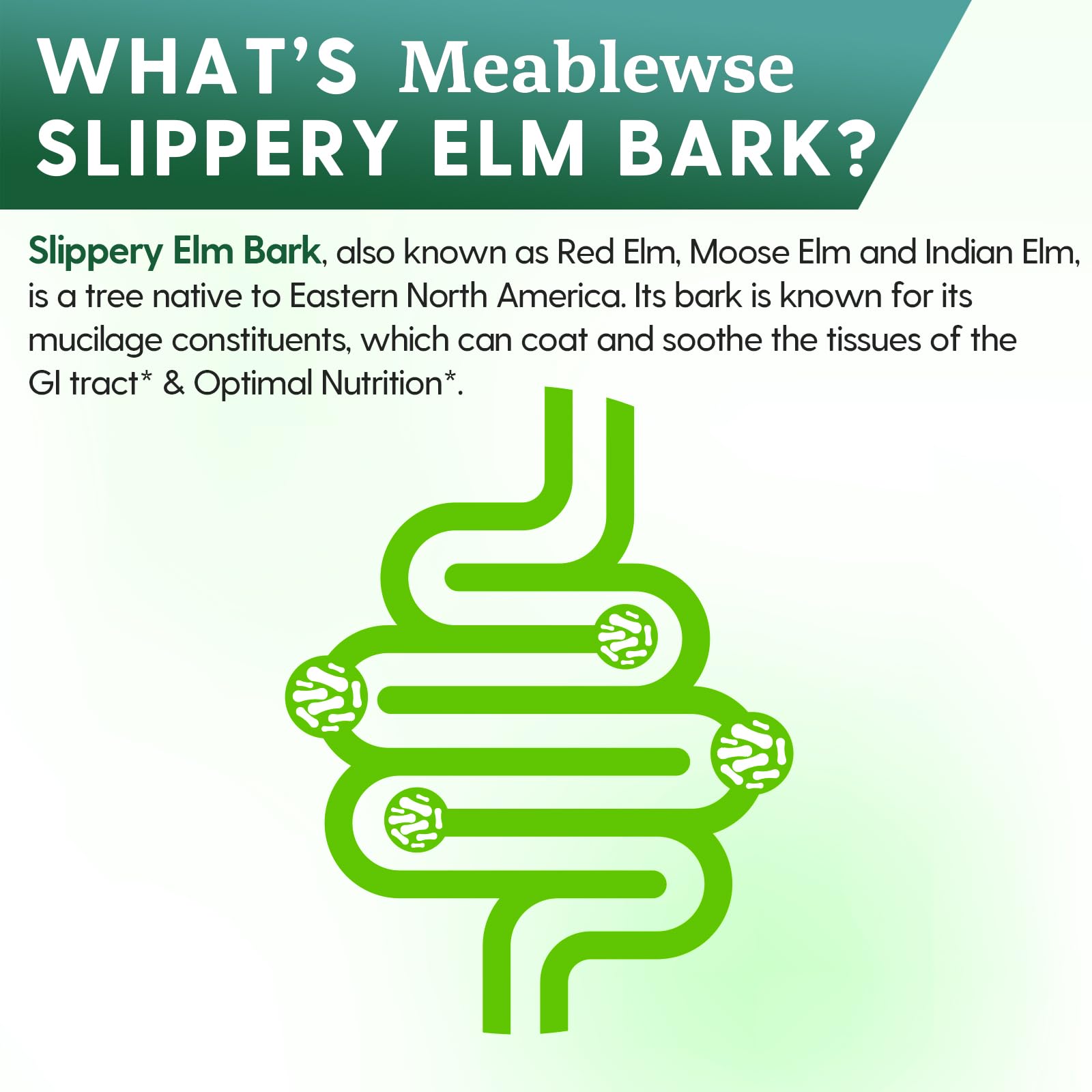 Meablewse Slippery Elm powder dissolving in water for quick assimilation.