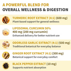 MEDCHOICE Ginger Extract 4:1 image suggests soothing digestive balance.