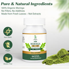 MEDI BOTIC Moringa leaves drying process preserving natural antioxidants and vitamins.