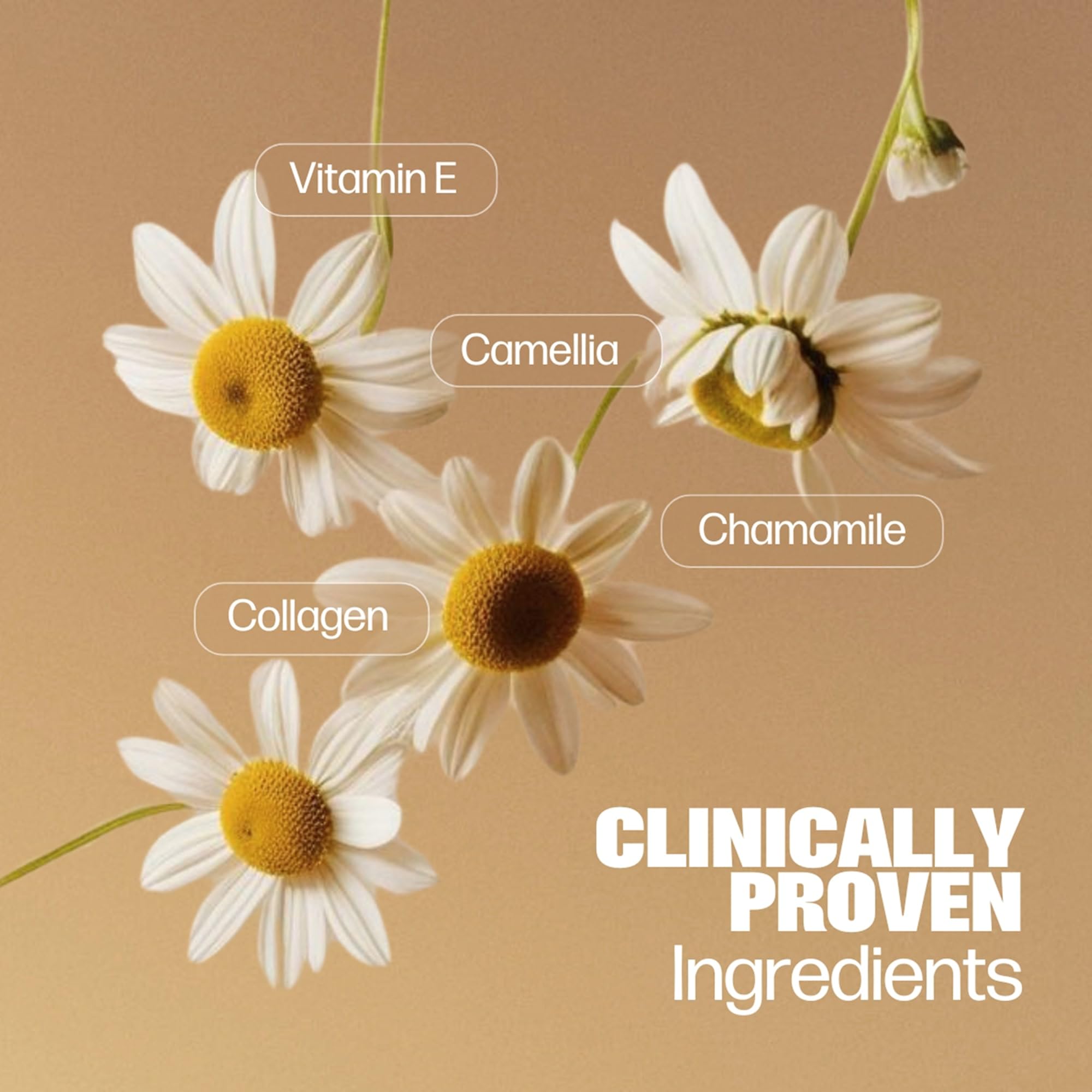 Vitamin E and sage components illustrated for skin nourishment.