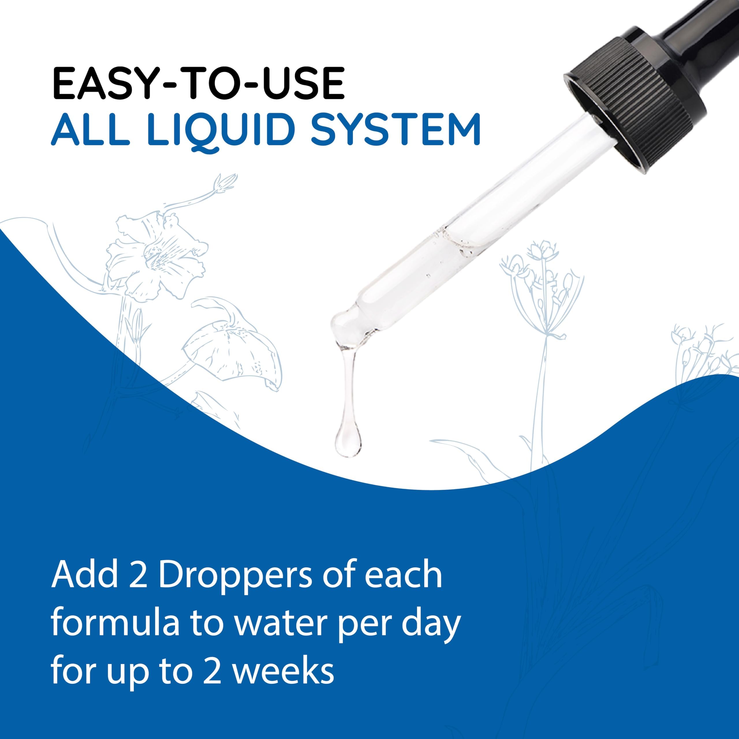 Natural ingredients backdrop behind BodyAnew Cleanse Drops