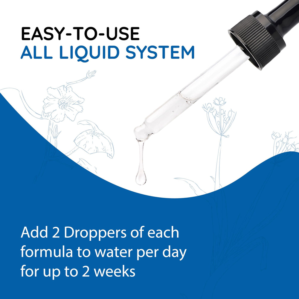 Natural ingredients backdrop behind BodyAnew Cleanse Drops