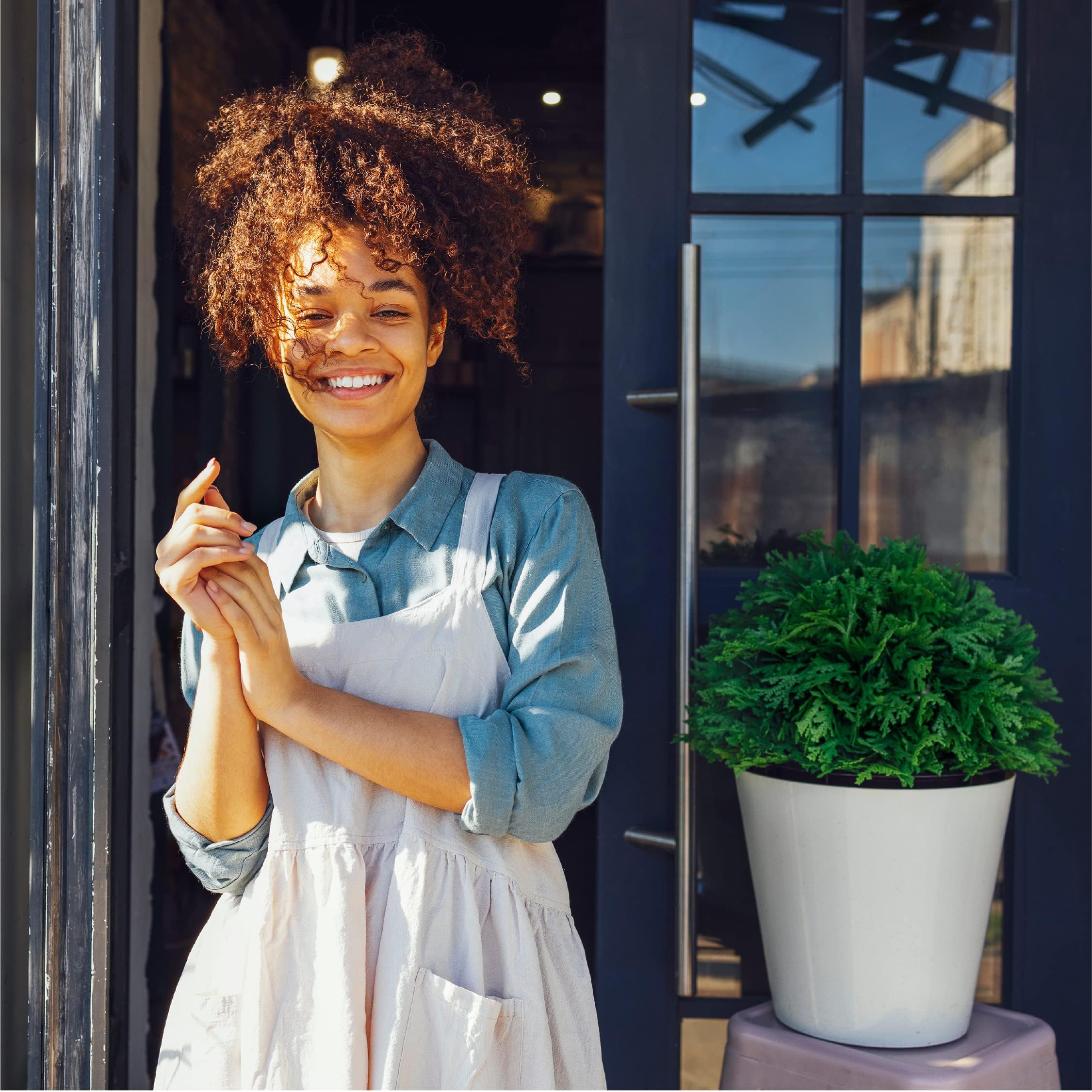 MediNatura WellMind herbal ingredients scene features Passion flower, Chamomile, Valerian.