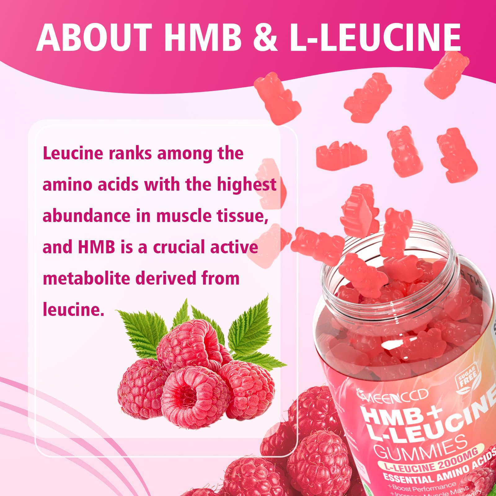 MEENCCD HMB and L-Leucine Gummies ingredients label emphasizing premium nutrients
