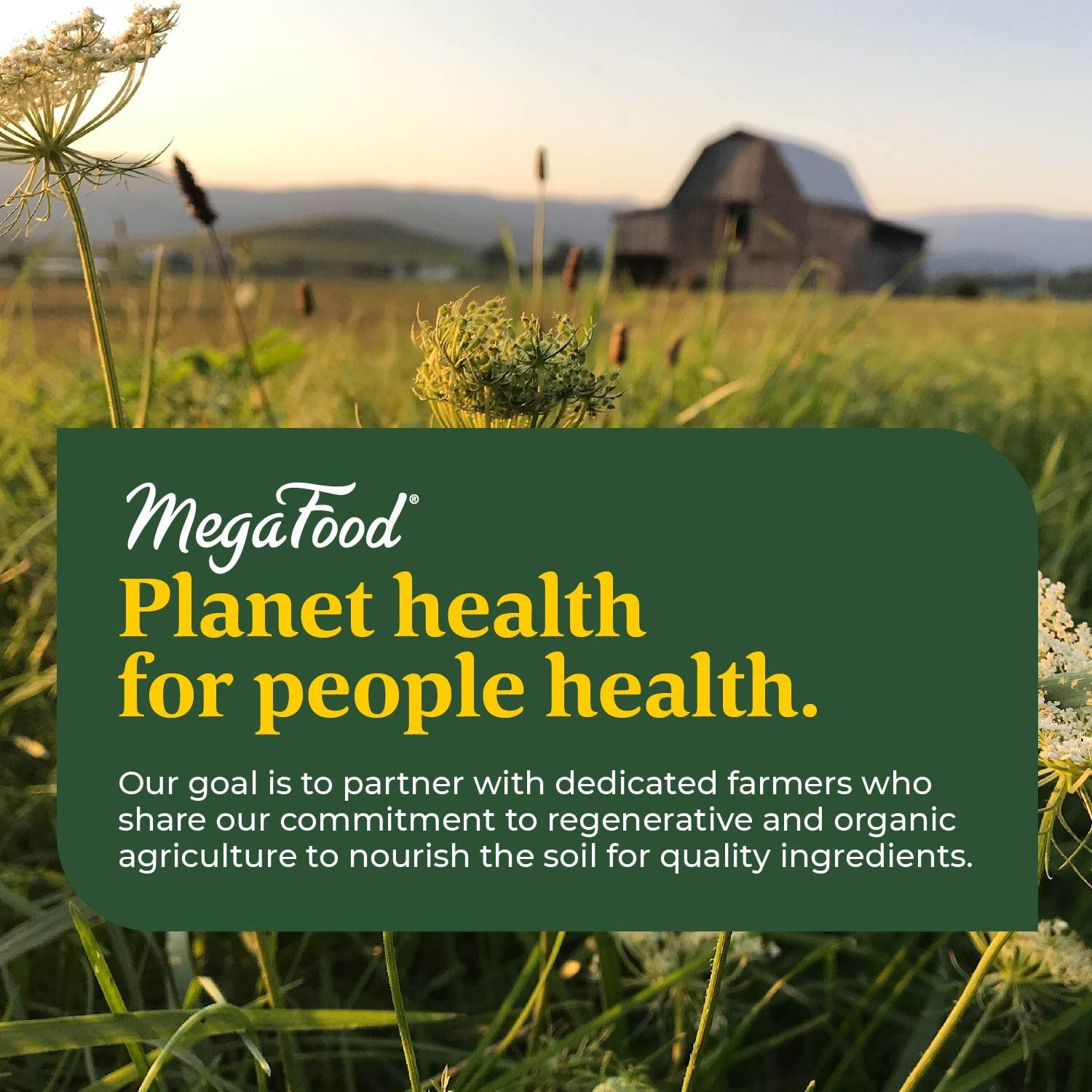 Ingredients list highlighting B12 and folic acid in the formula.