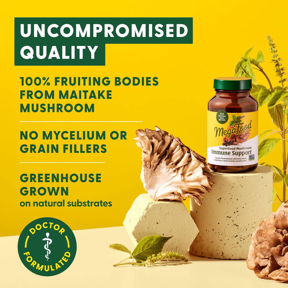 Greenhouse-grown maitake mushrooms on natural substrate for clean sourcing