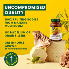 Greenhouse-grown maitake mushrooms on natural substrate for clean sourcing