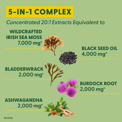 MegaFood Sea Moss Complex ingredients scene showing natural blends.