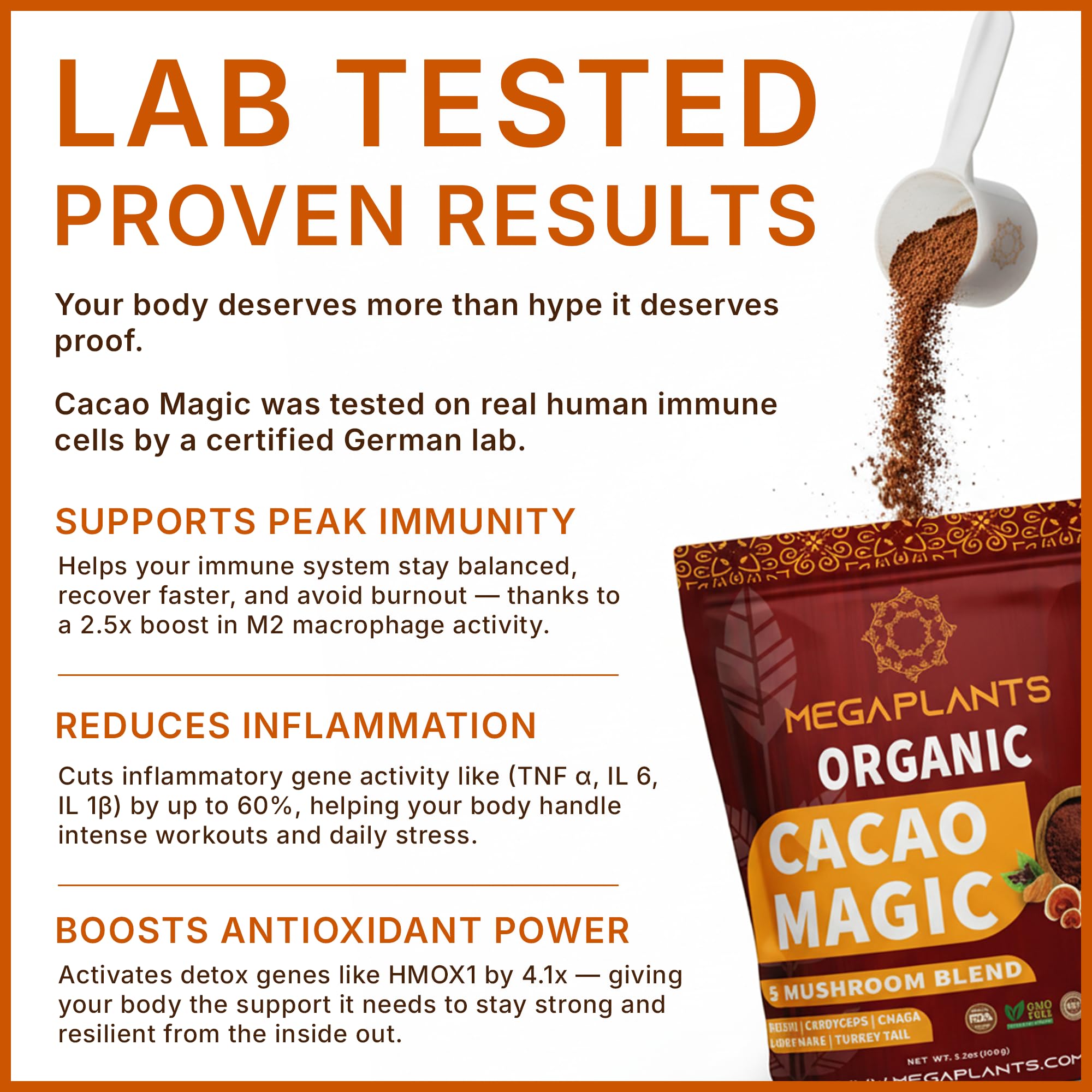 MEGAPLANTS Cacao Magic measuring scoop ready for coffee, smoothie, or tea.