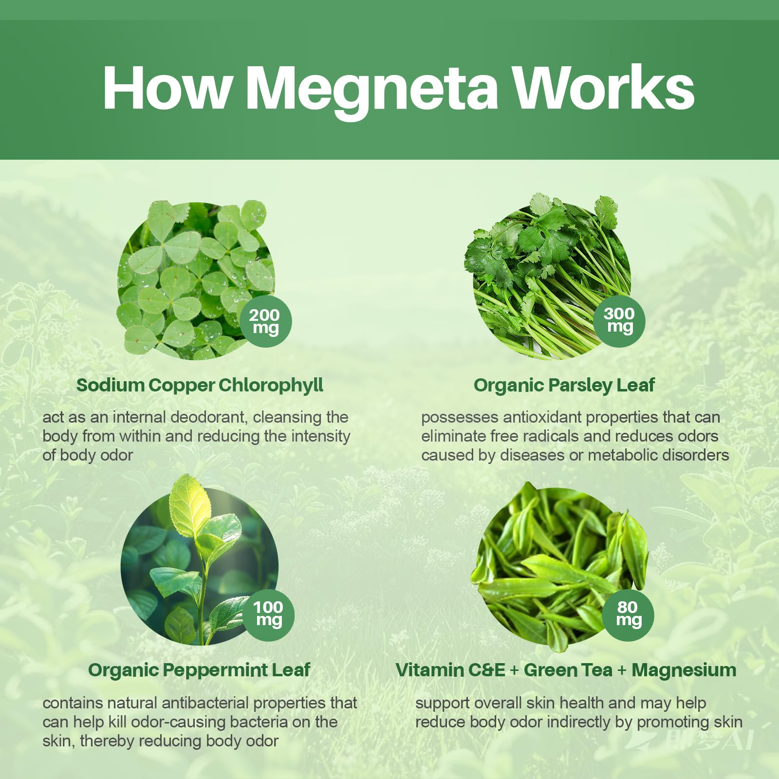 Close-up of MEGNETA chlorophyllin capsules for internal odor management.