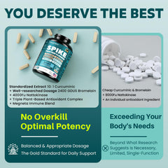 MEGNETA quercetin and dandelion ingredients—herbal blend for daily wellness.