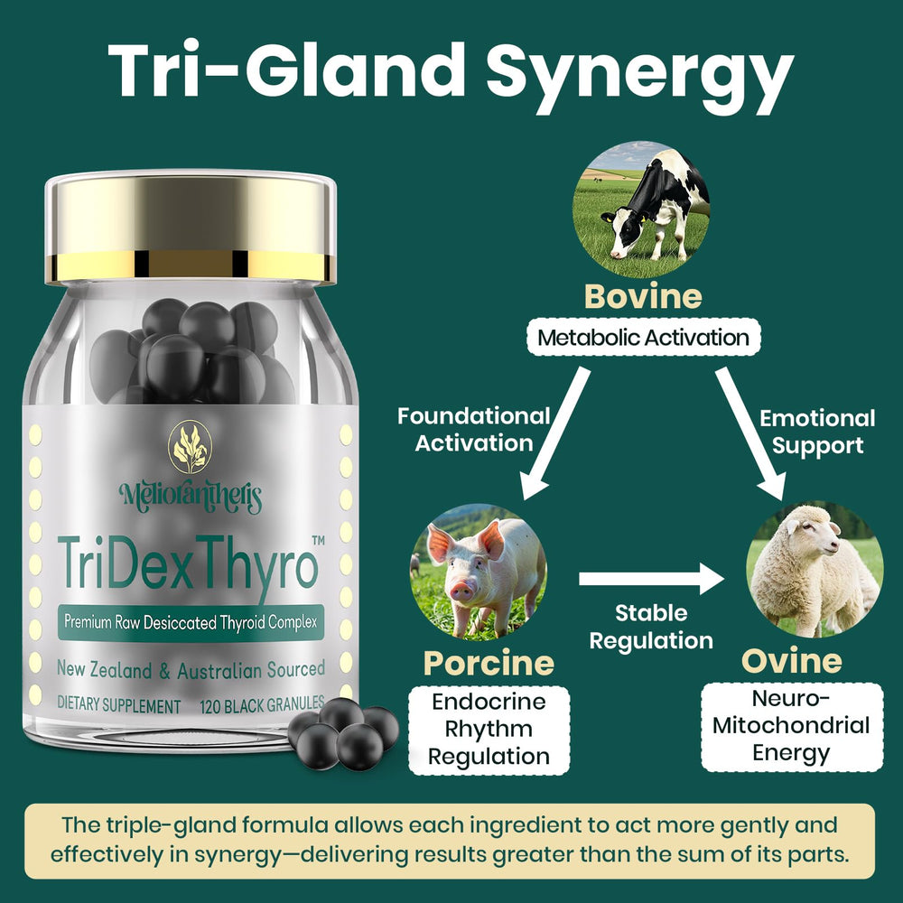 Two-pack Meliorantheris TriDexThyro box for value and convenience.
