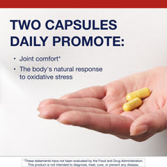 Metagenics Inflavonoid Intensive Care boswellia resin visual for joint comfort support