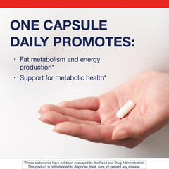 Metagenics L-Carnitine label view highlights non-GMO, gluten-free, vegetarian formula.