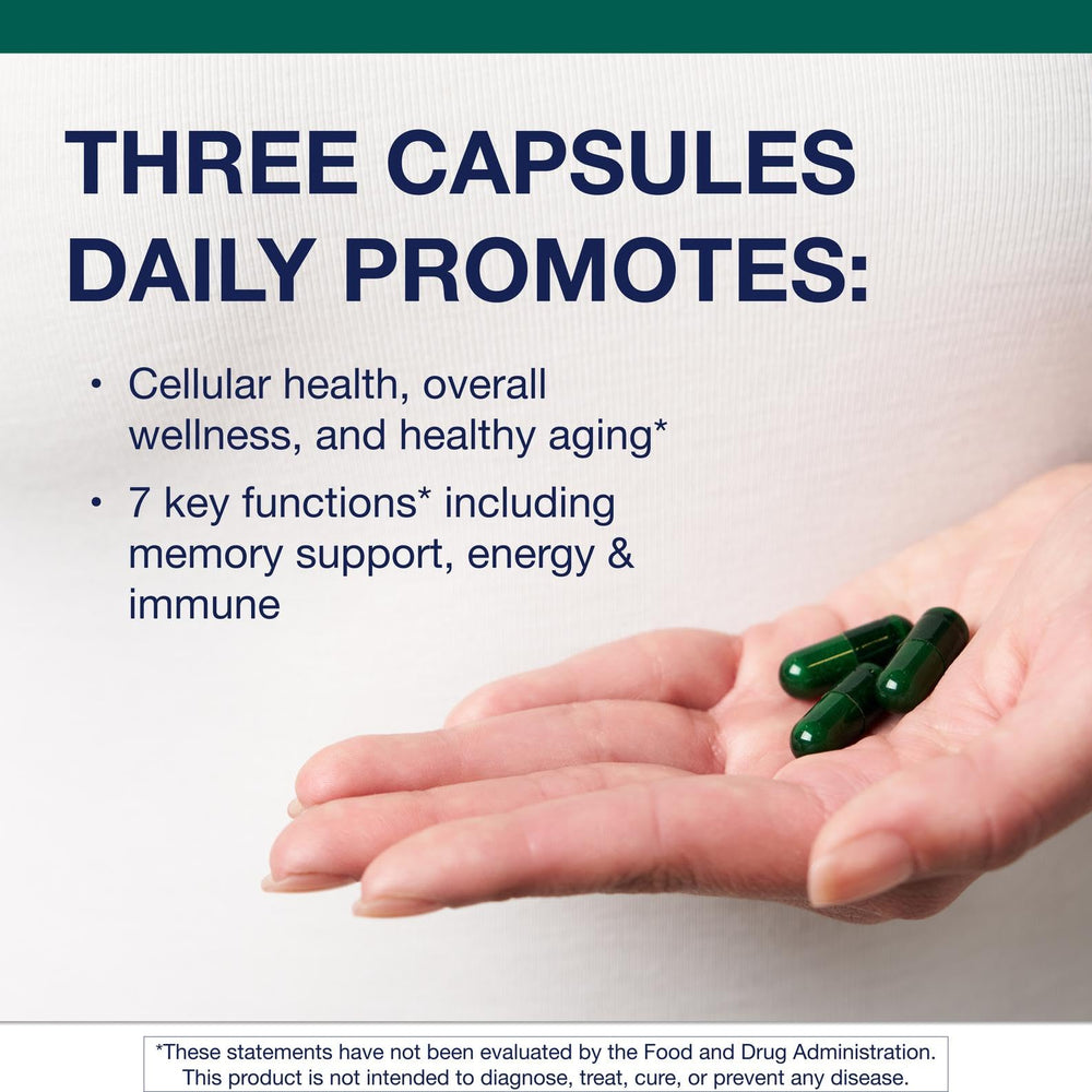 PhytoMulti phytonutrient blend jar with Mediterranean-inspired ingredients.