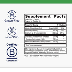 Metagenics UltraFlora Healthy Weight bottle cap close-up showing brand quality.