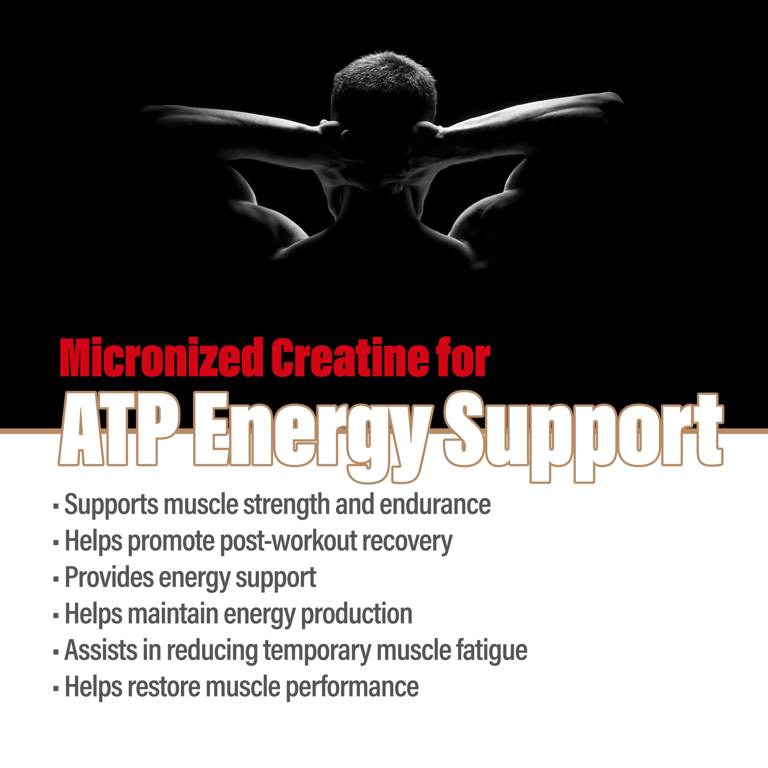 METALIFE Creatine scoop measure displaying exact 5 g portion for precise dosing