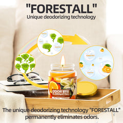 MicCai candle burning with citrus and vanilla aroma in a cozy room