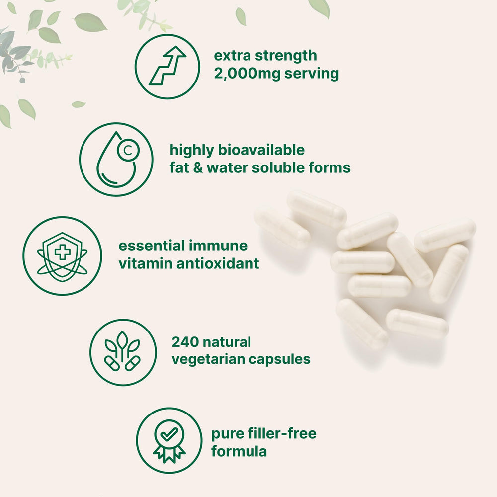 Micro Ingredients 2000mg servings graphic emphasizes dual-solubility for better absorption.