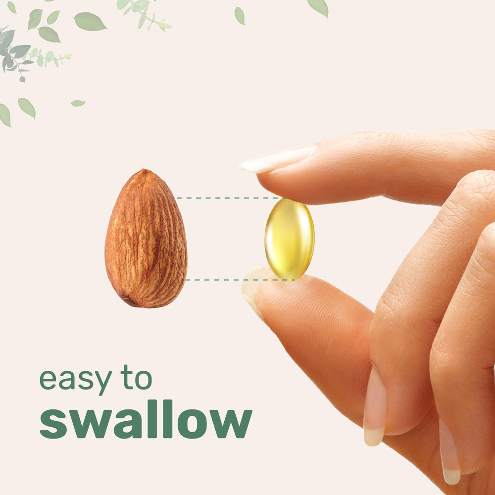 Micro Ingredients 240-softgel pouch for convenient omega-3 daily intake.