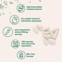 Micro Ingredients ascorbyl palmitate vitamin C close-up for antioxidant support.