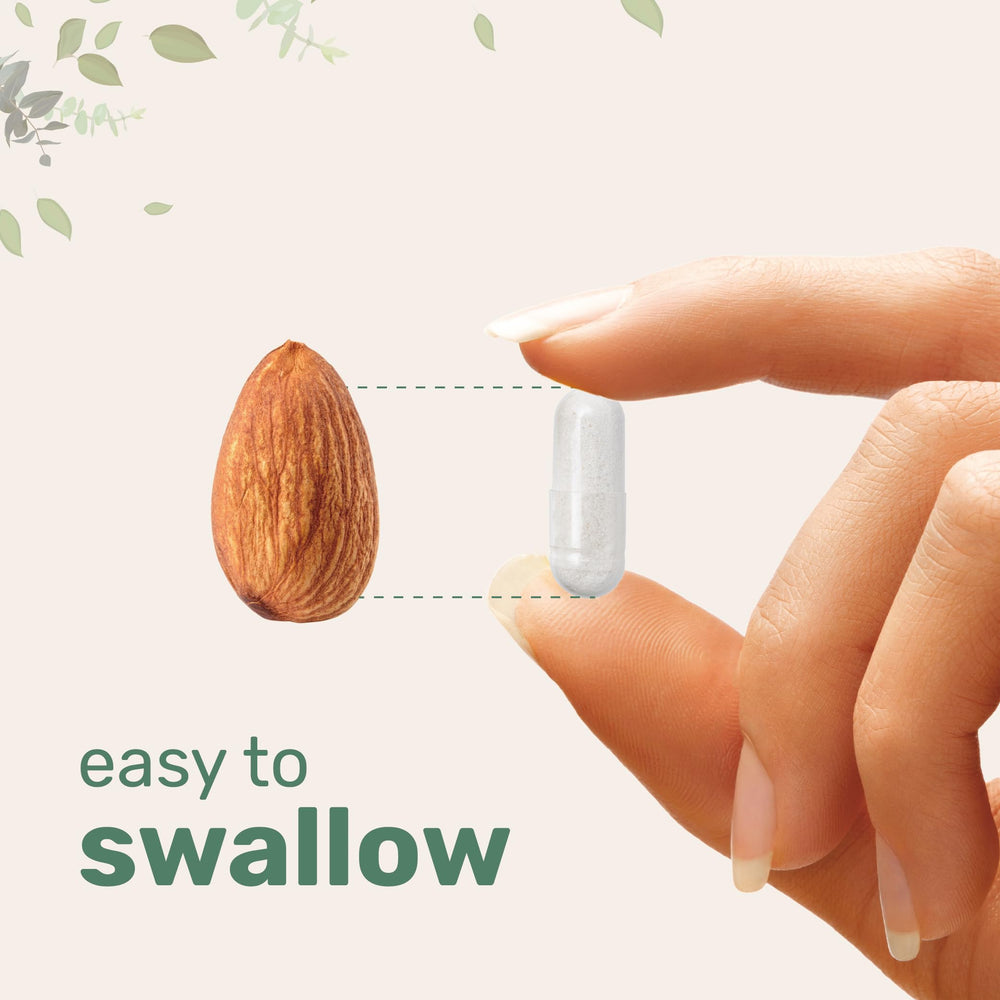 Micro Ingredients serving scoop illustrating daily dosage guidance.