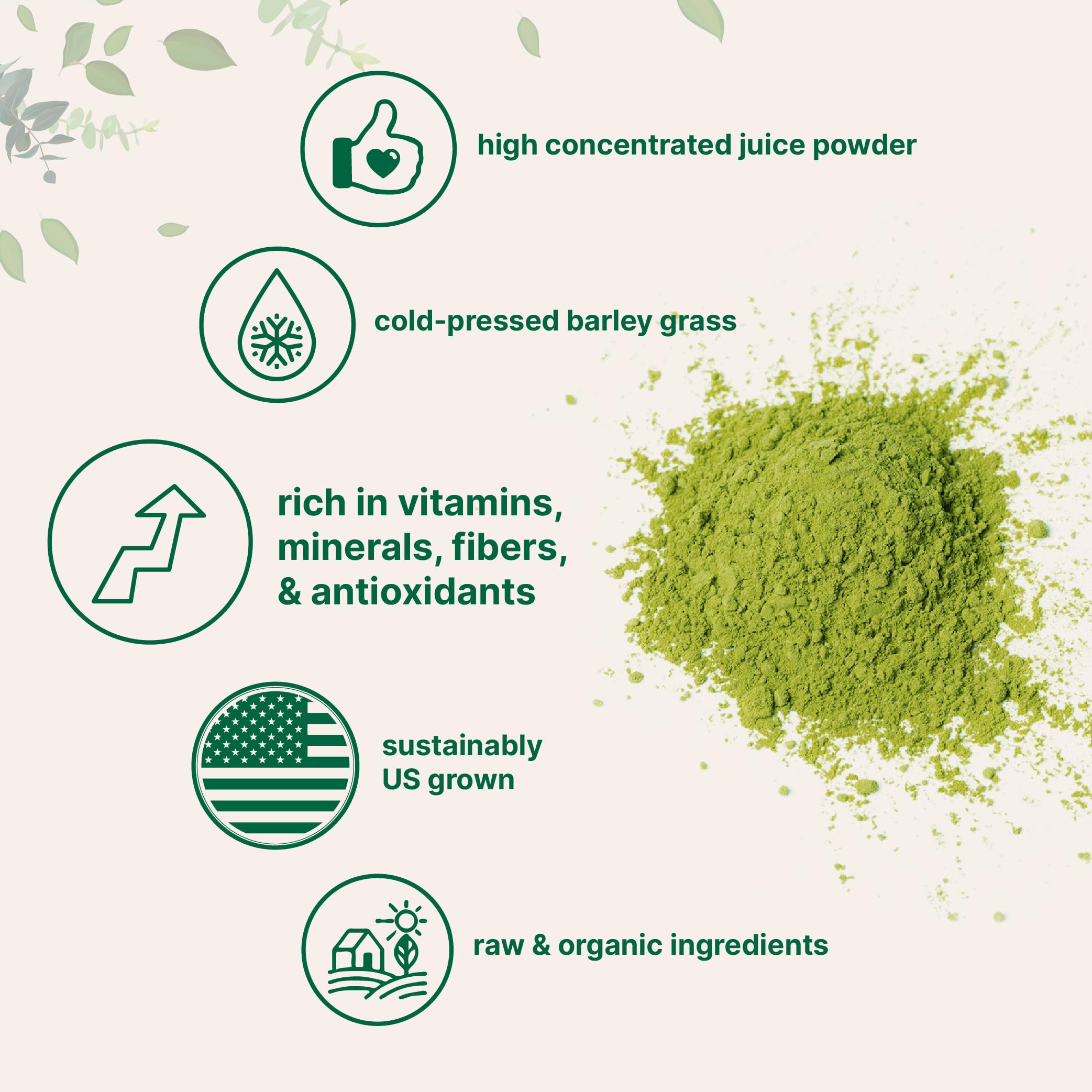 Barley grass powder being stirred into a glass for a simple energy lift