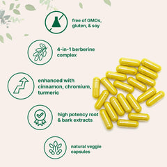 Micro Ingredients Berberine Cinnamon Bark Extract capsules highlight antioxidant potential