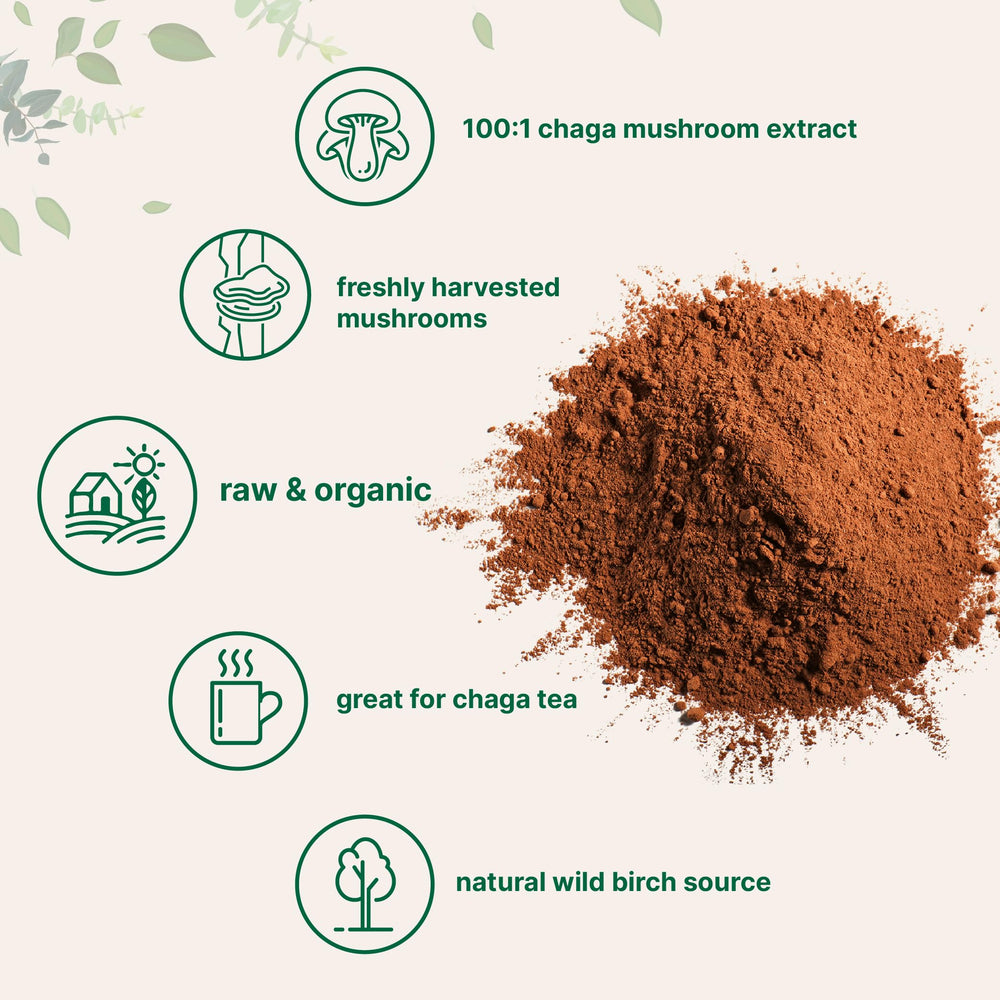 Chaga tea mug setup highlights warm, flavorful beverage option