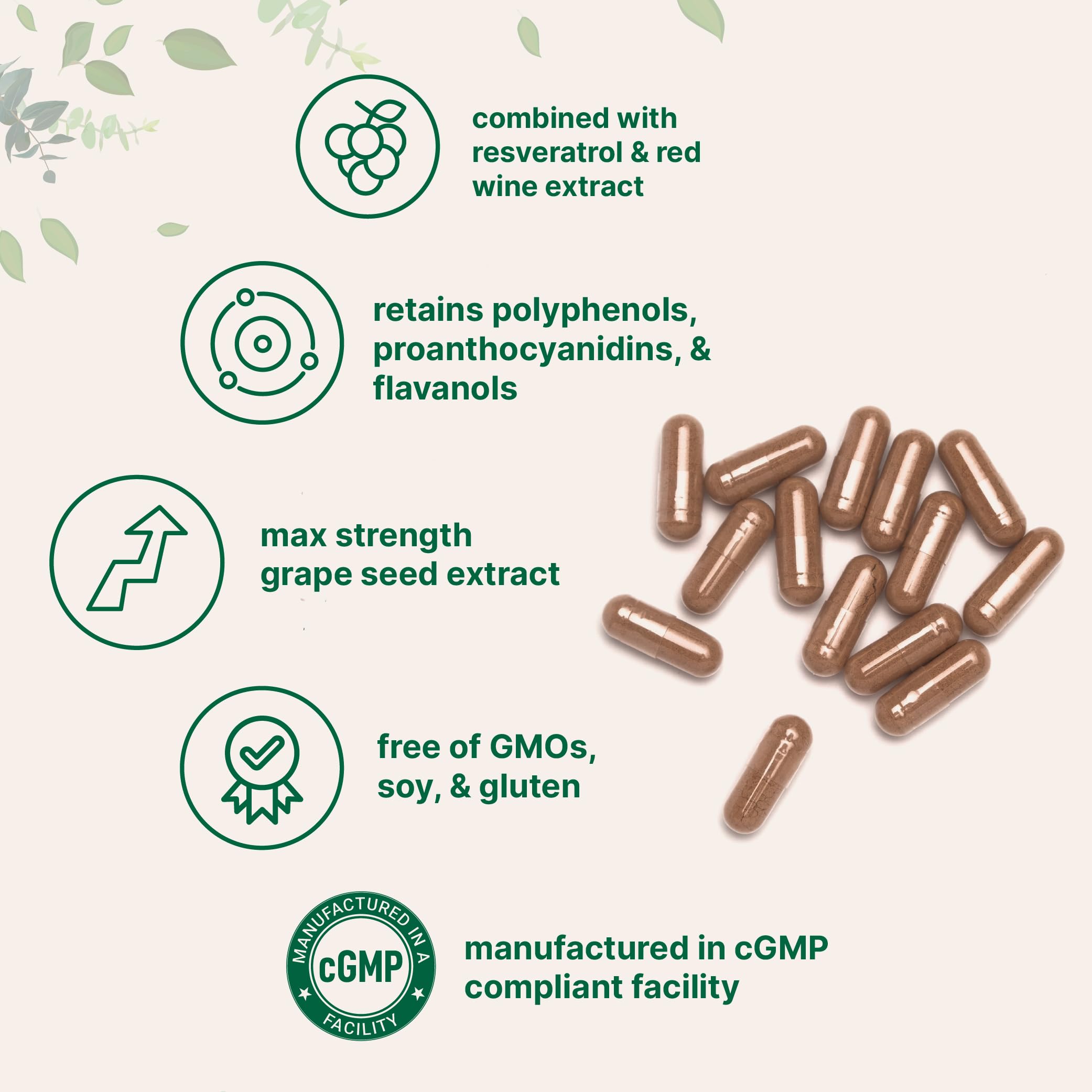 Micro Ingredients Grape Seed Extract bottle held in hand for convenient use.