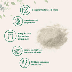 Micro Ingredients Hydration Electrolyte Powder Concord Grape measuring scoop aids precise servings