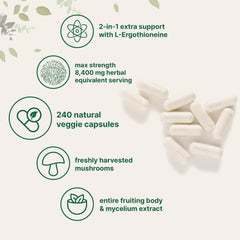 Lions Mane with L-Ergothioneine label emphasizes antioxidant-friendly mushroom nutrients