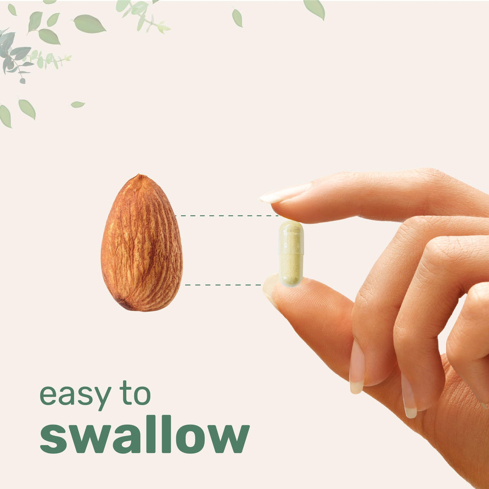 Micro Ingredients maca root capsules gelatinized form improves digestion and uptake.