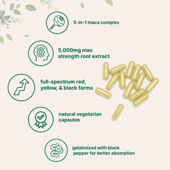 Micro Ingredients maca root capsules pour demonstrates simple dispense and absorption.