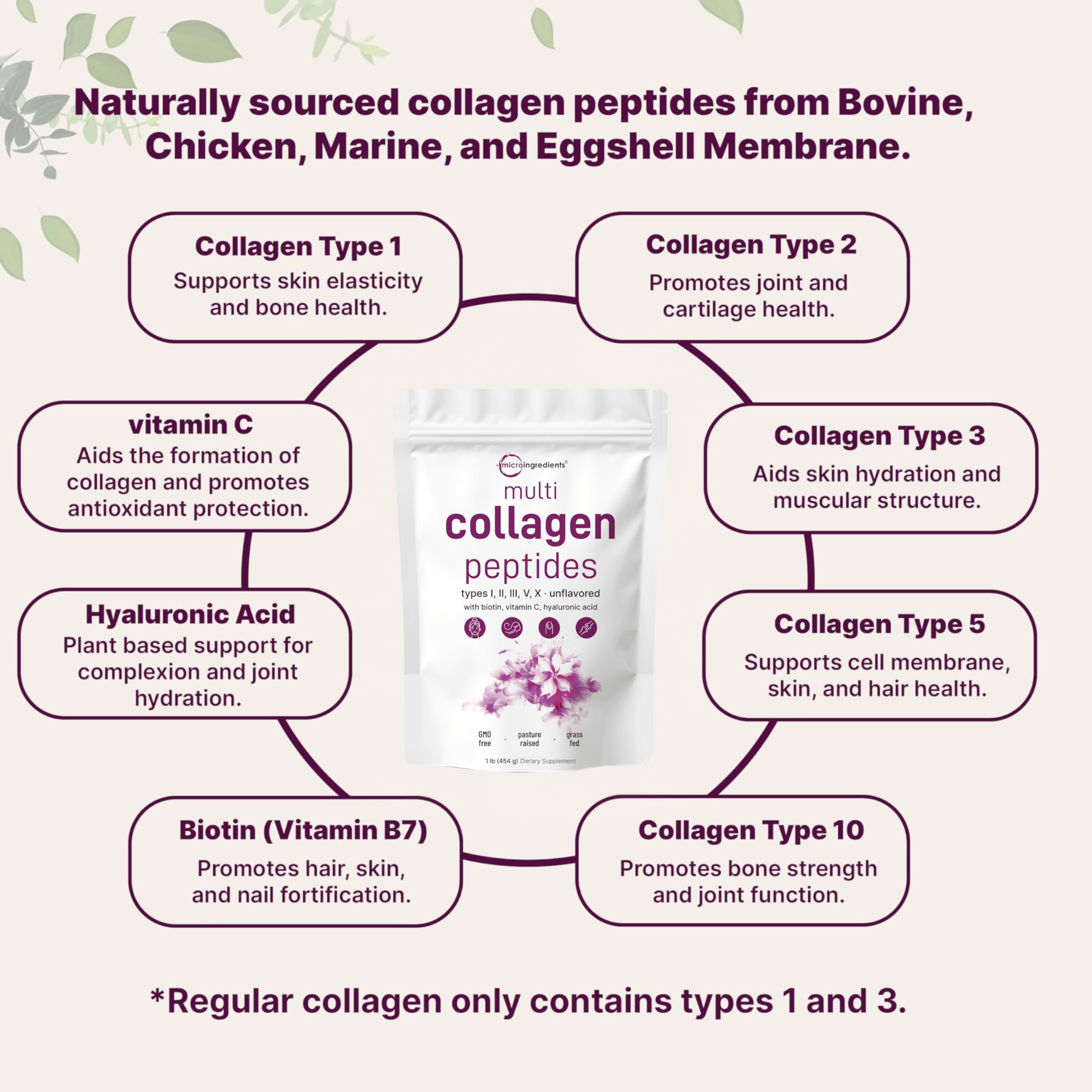Micro Ingredients multi collagen powder dissolving in water for fast mix