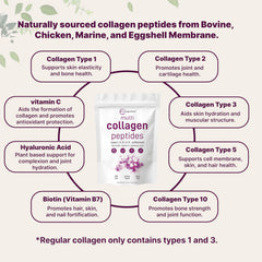 Micro Ingredients multi collagen powder dissolving in water for fast mix