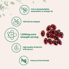 Natural phospholipids concept illustration for krill oil from Micro Ingredients.