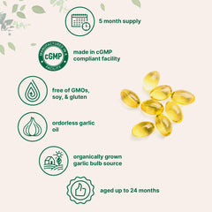 Pouch of Micro Ingredients Odorless Garlic showing a 5-month supply for daily use.