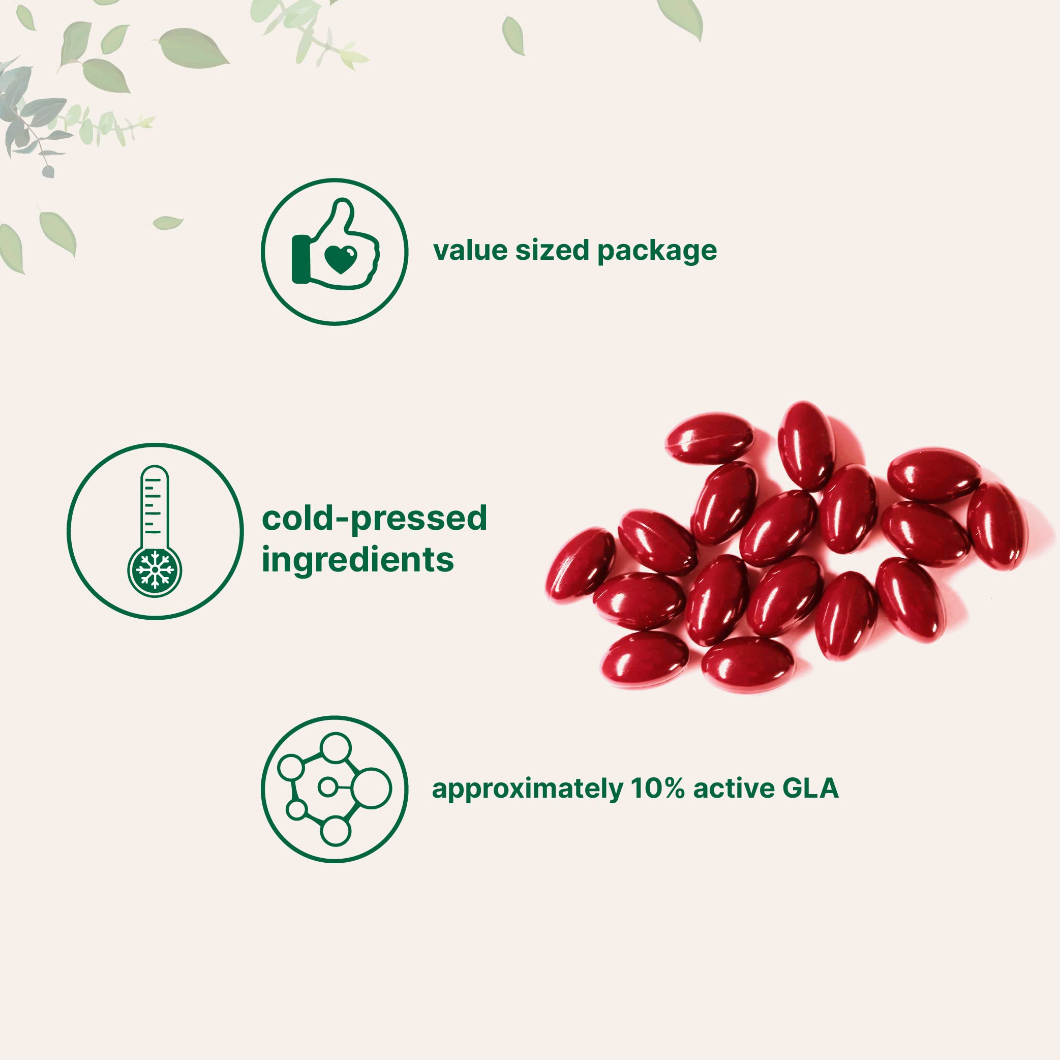 Micro Ingredients omega-6 rich illustration supporting balanced daily nutrition