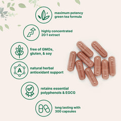 Micro Ingredients polyphenols-rich green tea extract contents demonstrates natural goodness and potential daily vitality.
