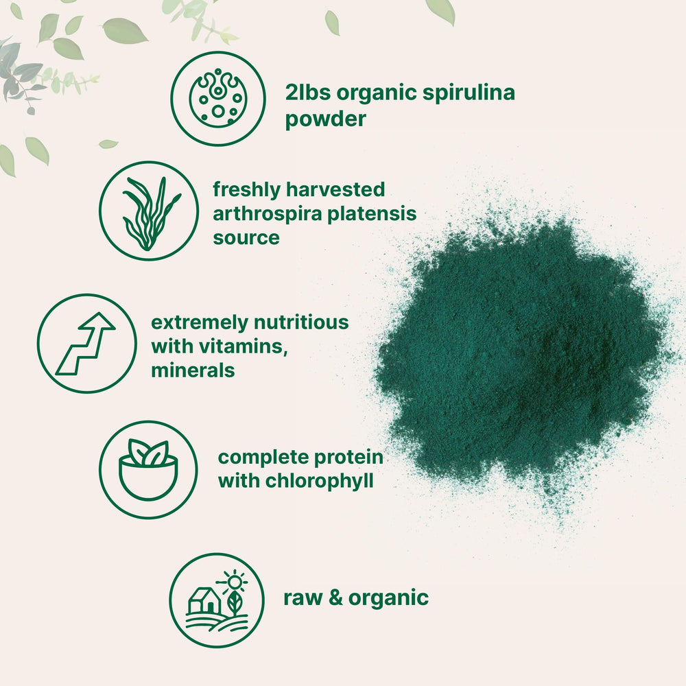Micro Ingredients spirulina powder jar highlighting vibrant green color and quality