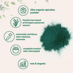Micro Ingredients spirulina powder jar highlighting vibrant green color and quality