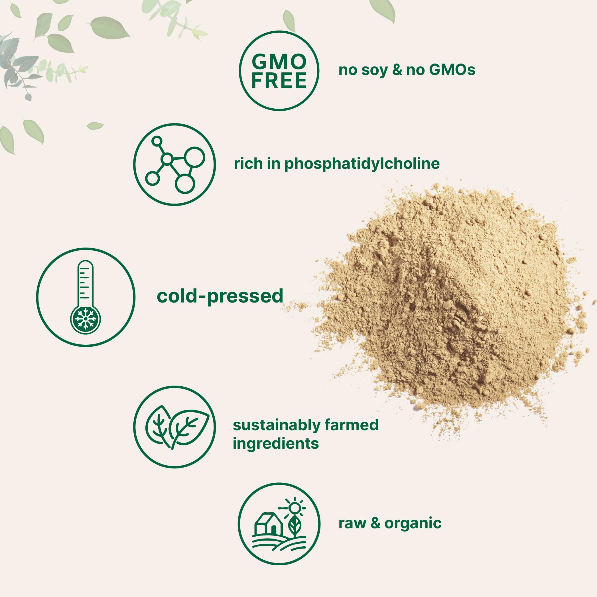 Organic sunflower lecithin powder highlighting sustainable farming and clean ingredients