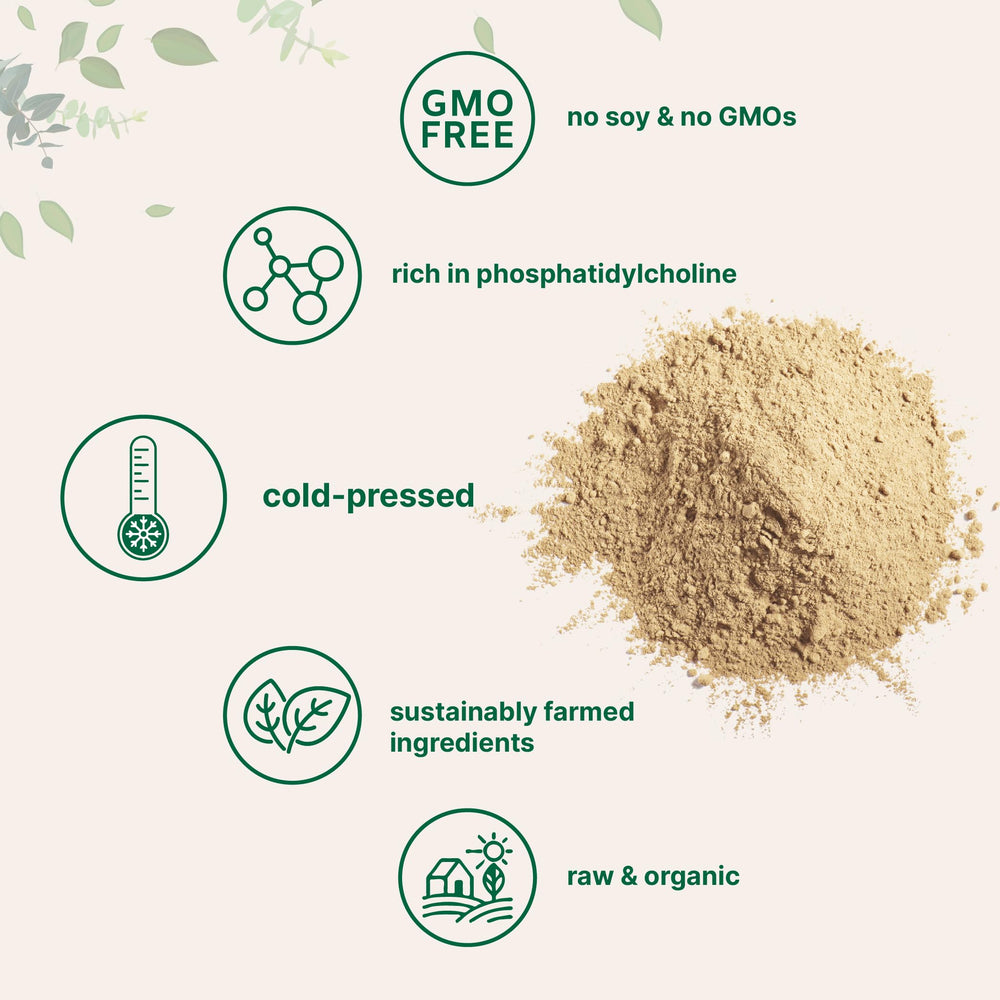 Organic sunflower lecithin powder highlighting sustainable farming and clean ingredients